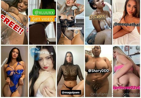 mochianaa nus étoiles galeries