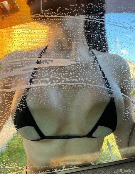 Lily Off Valley actriz xxx archivo