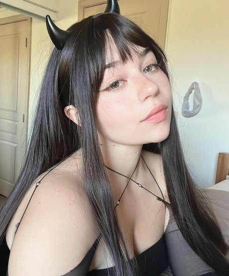 _sugashi estrella bonita fotos