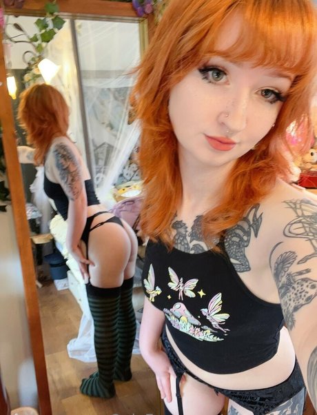 Starryfawnn estrella de alta definición recopilación