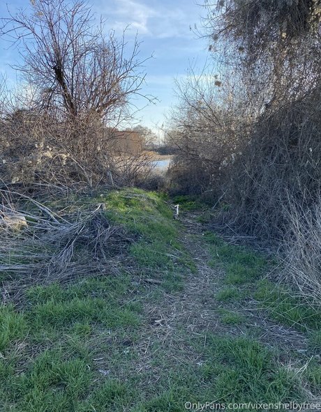 vixenshelbyfree étoile de l'art image