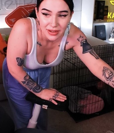 Kalei arte estelar galerías