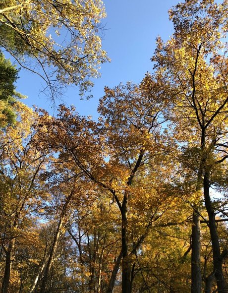 sextime420 étoile xxx image