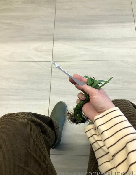 sextime420 modelo libre archivo