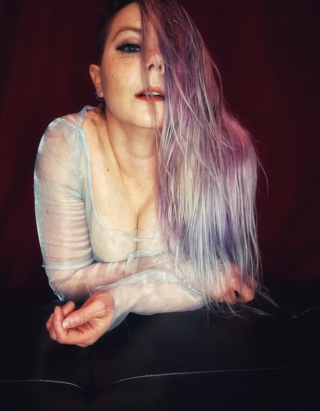 quinntaylorfree libre de estrellas foto