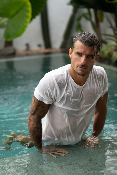 Antonycanvas sex star images