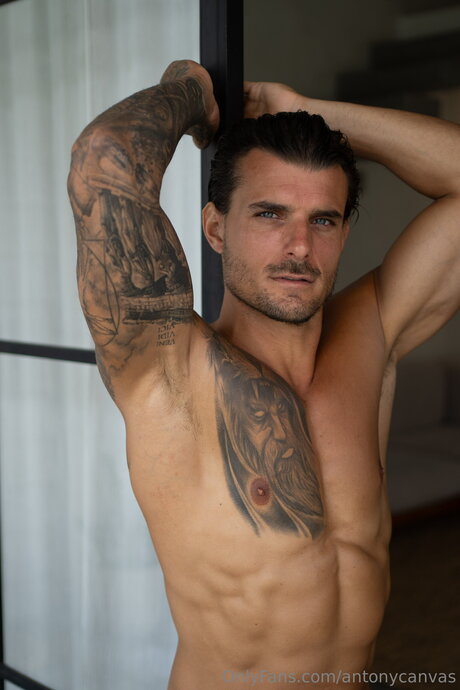 Antonycanvas nice model img