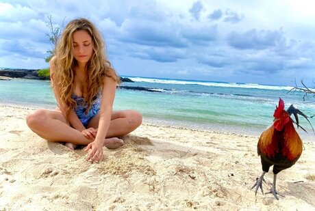 OnlyFans pour femmes rondes sexy sympa collection