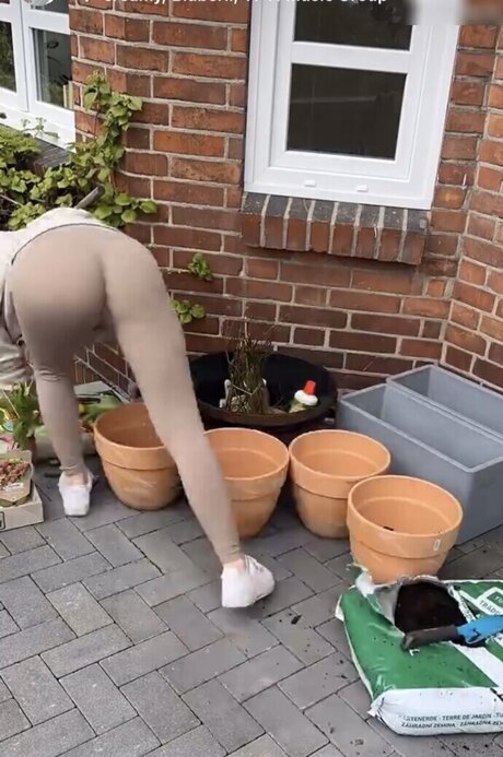 Julia Schulze Miniatura