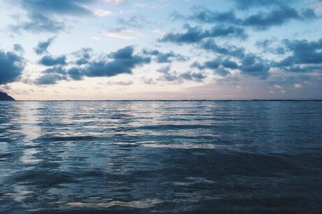 rianabailey arte modelo imagen