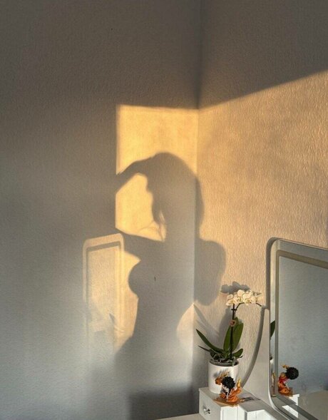 hefxtom star érotique collection