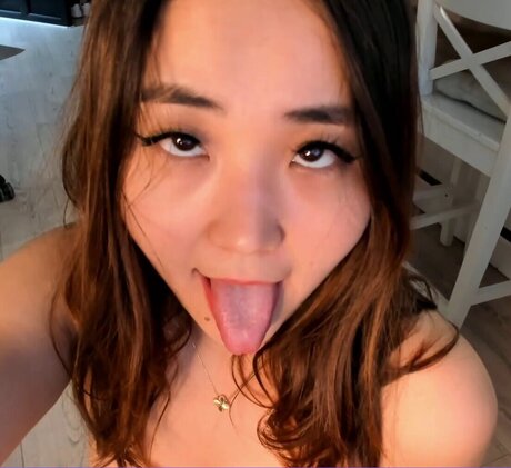 boraa_ modèle de haute qualité img