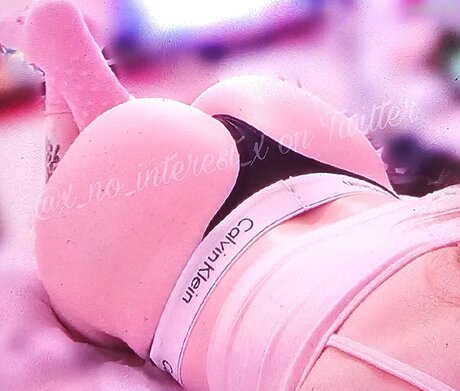 x no interest x étoile archive