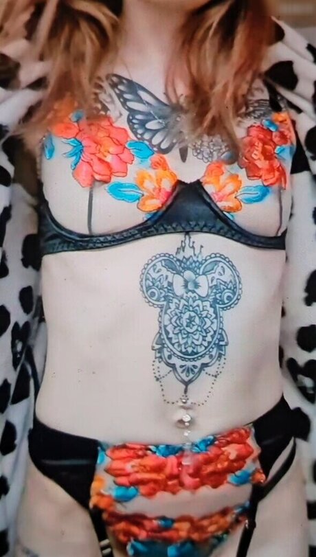 x no interest x étoile images