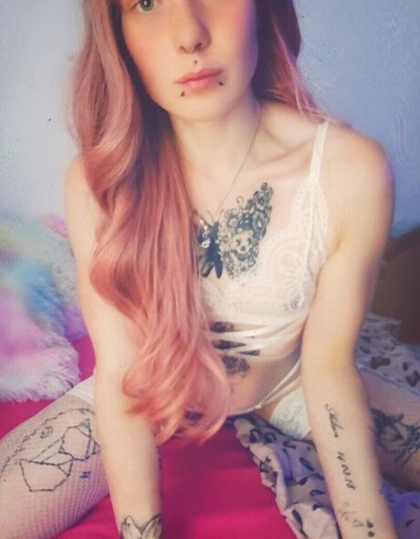 x no interest x desnudos de estrellas porno imágenes