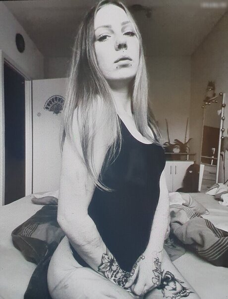 x no interest x star pornographique collection