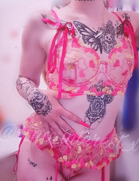 x no interest x top star img