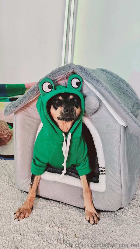 Agostinha Red modèle images