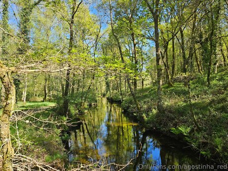 Agostinha Red buena actriz galerías