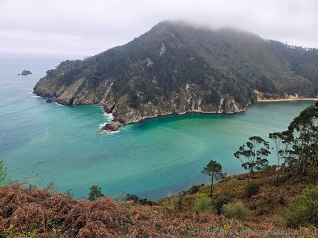 Agostinha Red estrella del arte foto