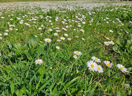 Agostinha Red actrice de nus images
