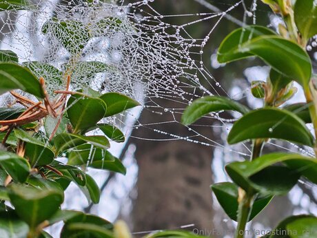 Agostinha Red haut de star du porno galerie