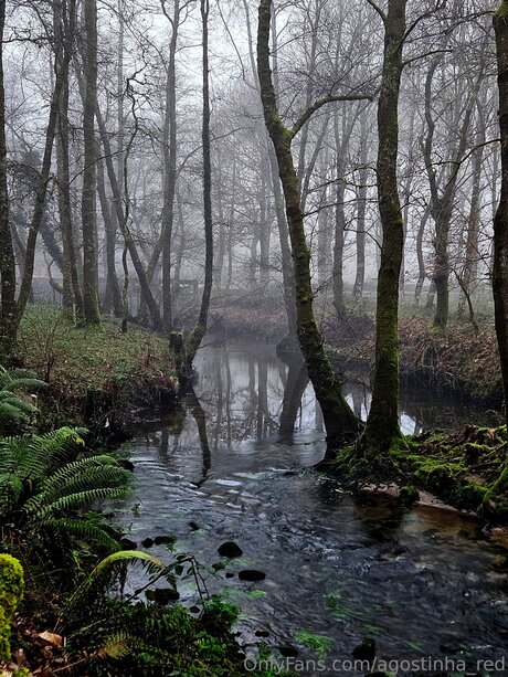 Agostinha Red estrella porno adulto foto