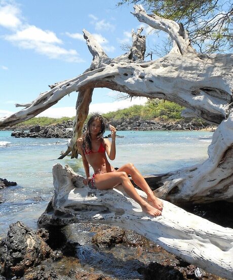 Lauren Avelina estrella recopilación