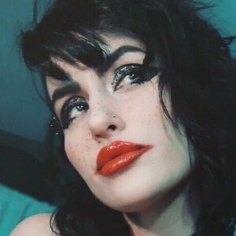 Pokket estrella adulta galería