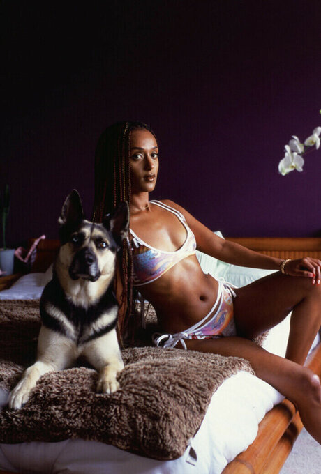 Honnete Bas sexo estrella porno fotos