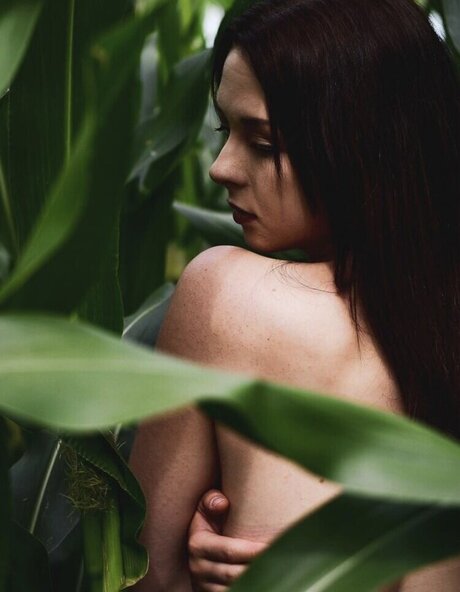 Hnnhofficial estrella perfecta galerías