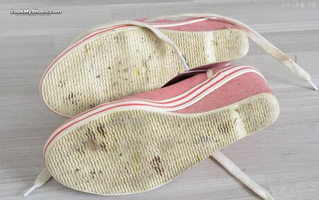 Jamie Kate modèle de sexe image