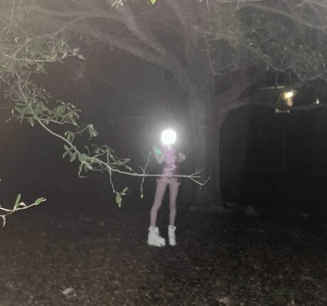 Sashad0ll estrella perfecta galerías