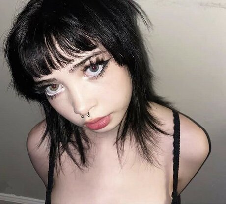 Sashad0ll meilleur modèle images