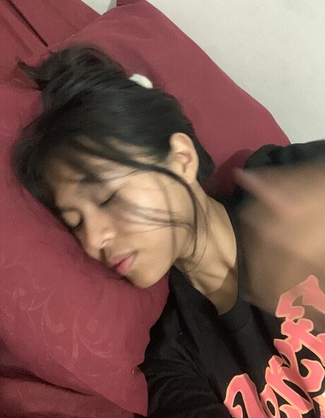 Vxilzie estrella atractiva recopilación