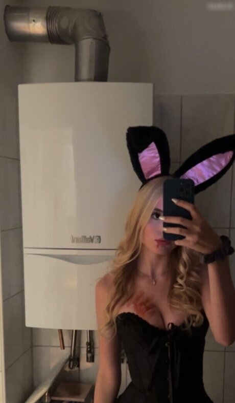 Jellina estrella superior fotos