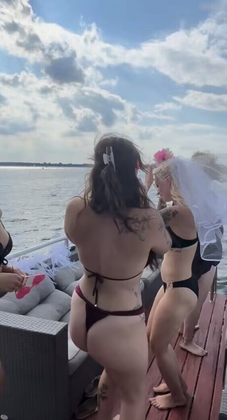 Die Meedtis estrella de alta calidad recopilación