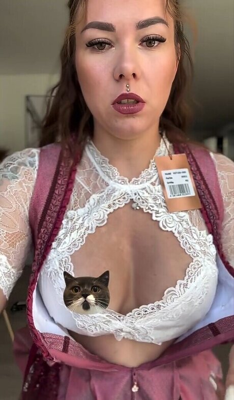 Die Meedtis modelo de alta definición fotos