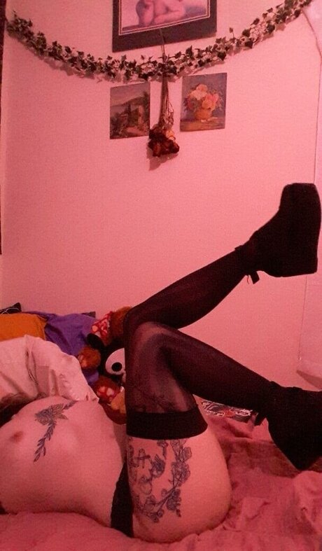 Riley Ramone estrella porno perfecta archivo