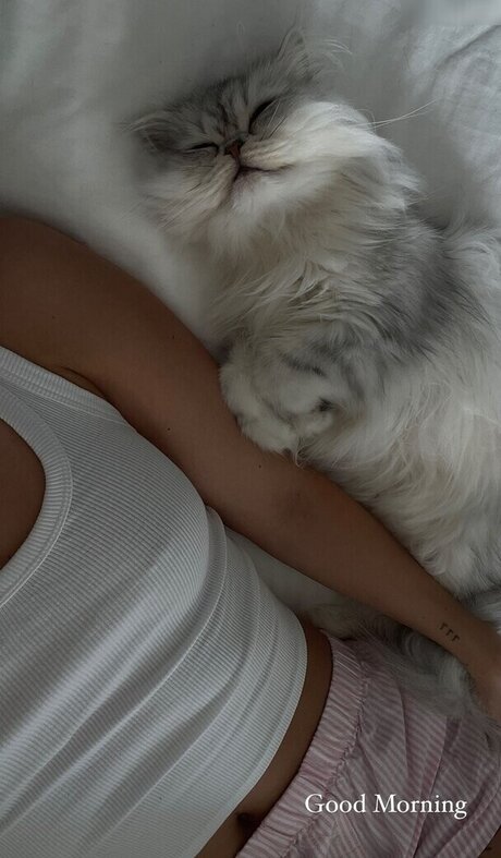 Lisa srmst star du porno belle archive