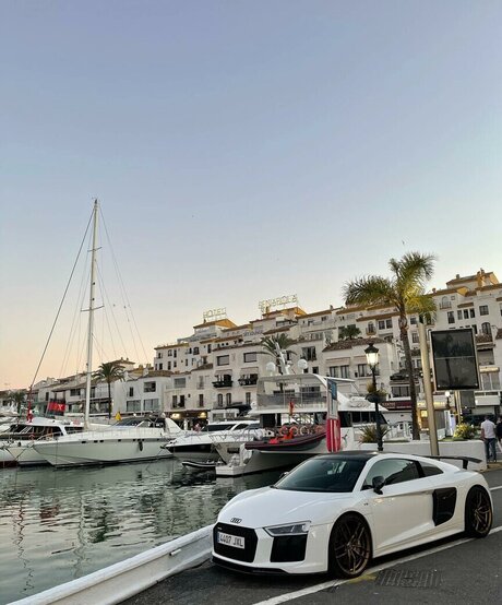 anastasiia sin art étoile des photos