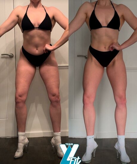 catraises estrella perfecta imágenes