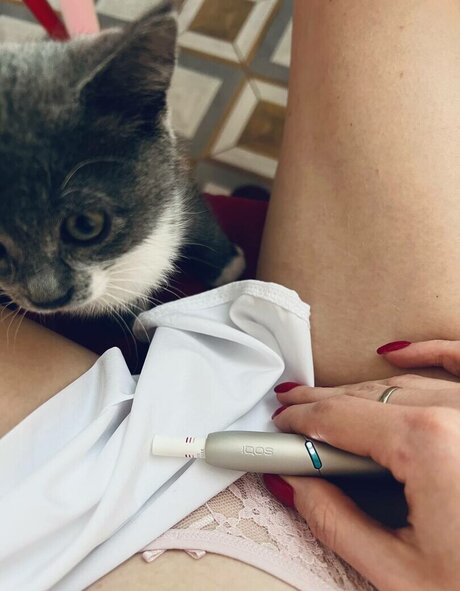 Alina dln actriz xxx imágenes