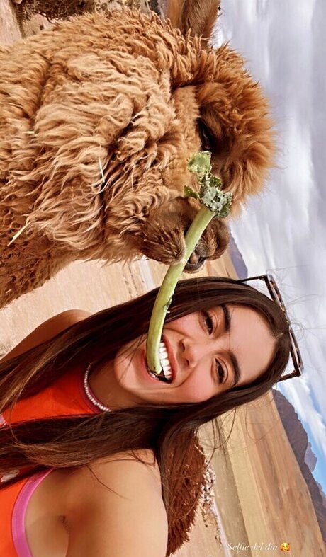 Veronica Boyer Imagen de perfil