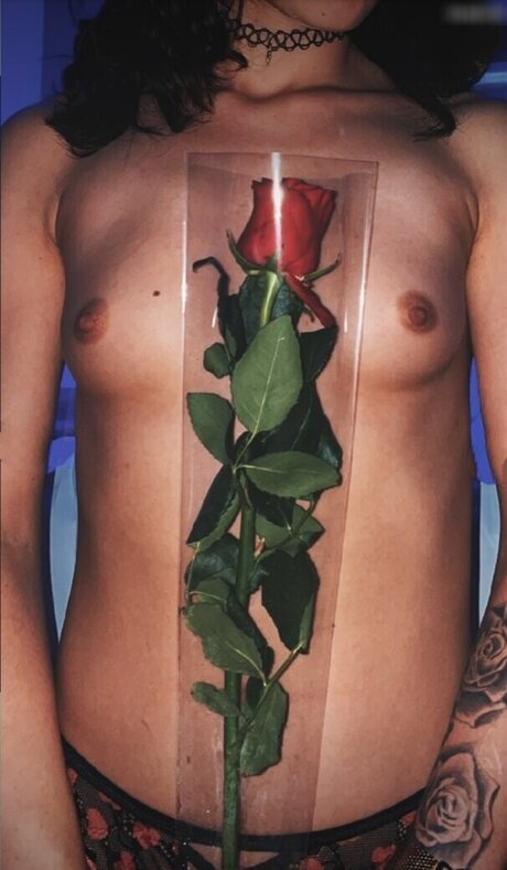 secret hub wue Imagen de perfil