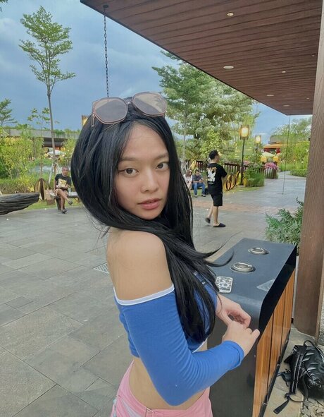 miceraa étoile magnifique archive