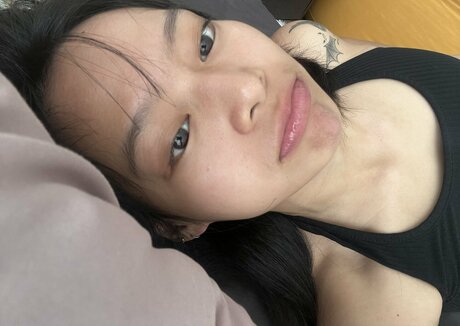 miceraa modèle hd galerie