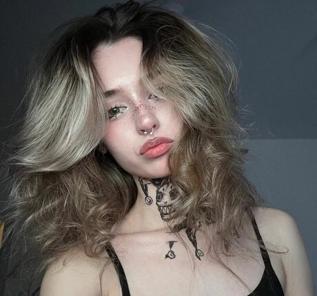 pavuk1 0 model hot archive