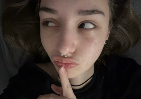 pavuk1 0 art étoile photo