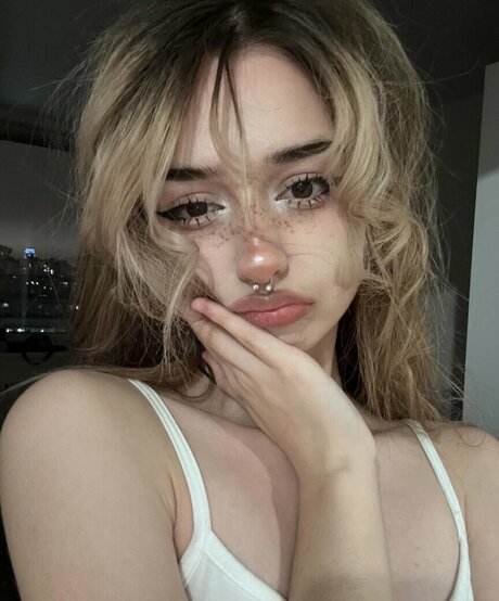 pavuk1 0 estrella libre imagen